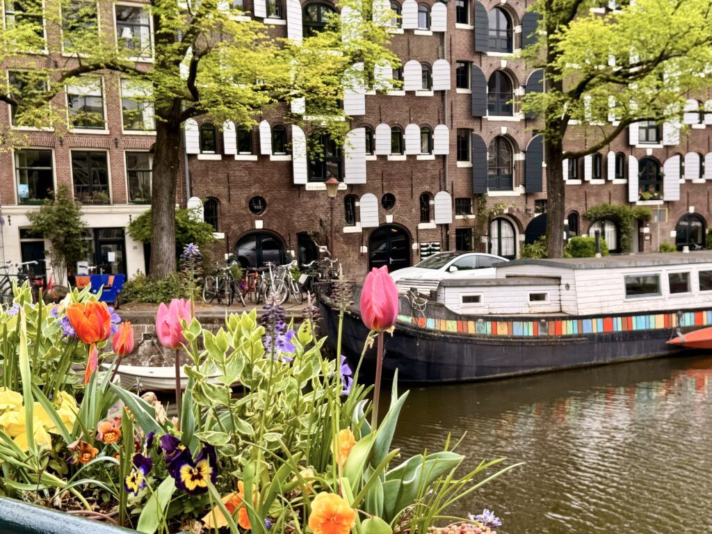 boat cruising on a canal in Amsterdam
