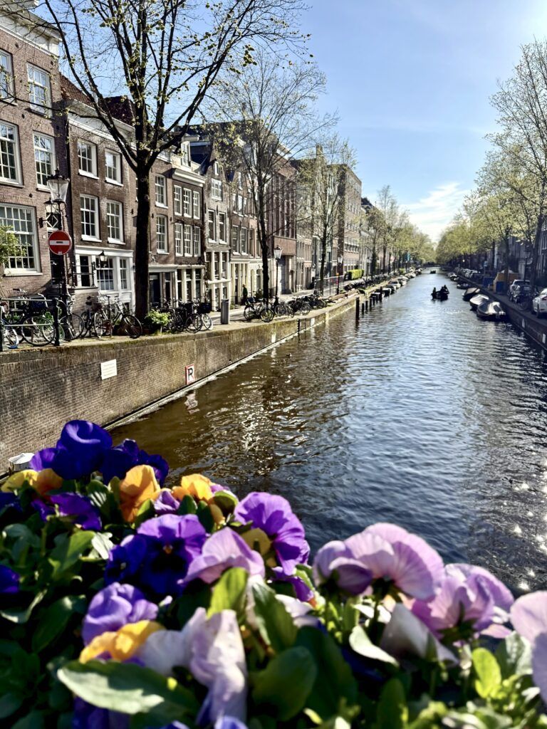 canal in Amsterdam with tulips