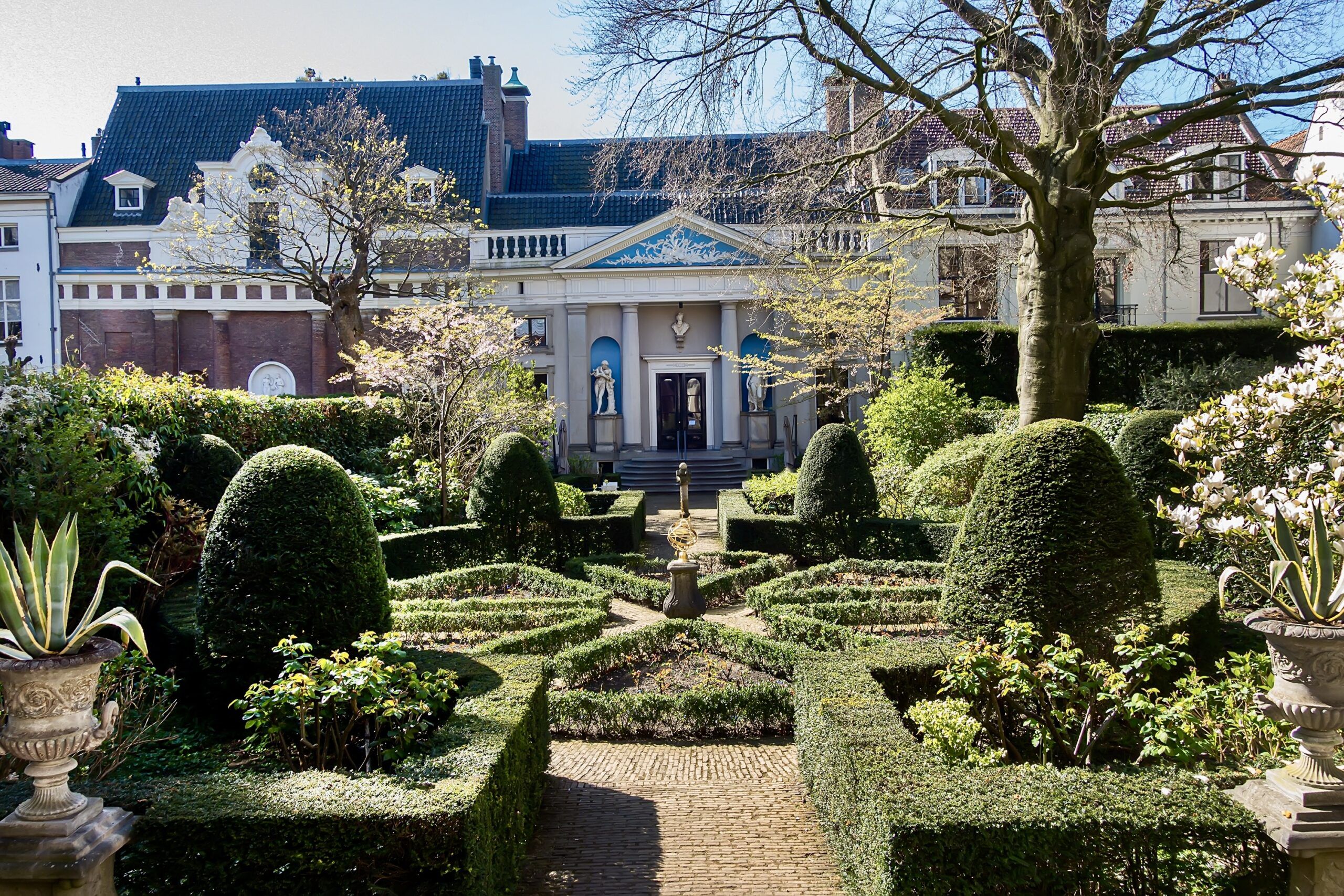 backyard and gardens