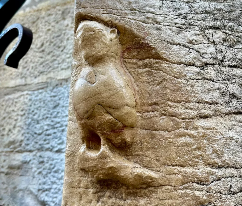 owl on the facade of Notre-Dame