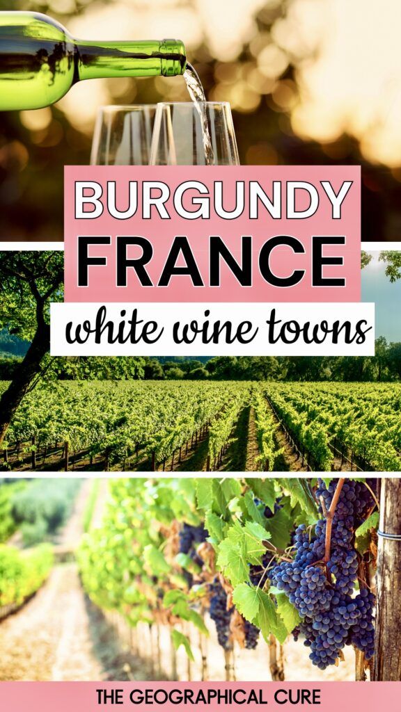 pin graphic showing vineyards in Burgundy
