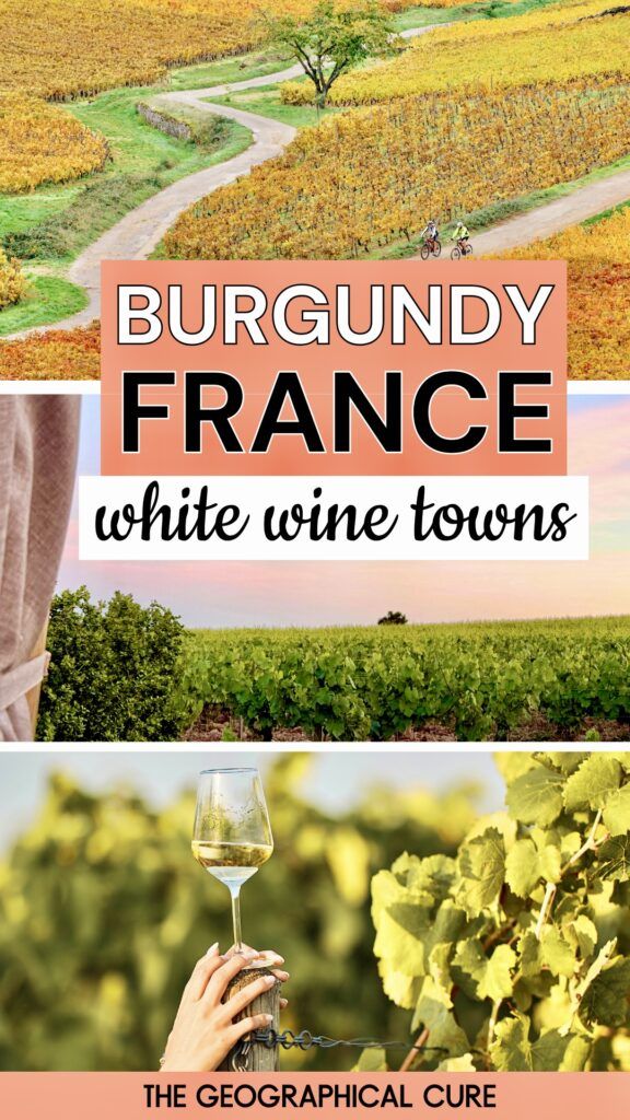 pin graphic showing vineyards in Burgundy