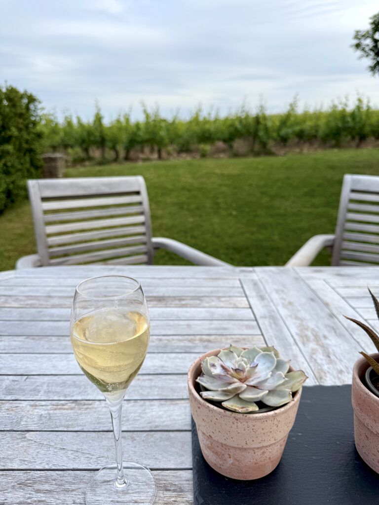 view of table, wine glass, and vineyards in Puligny-Montrachet
