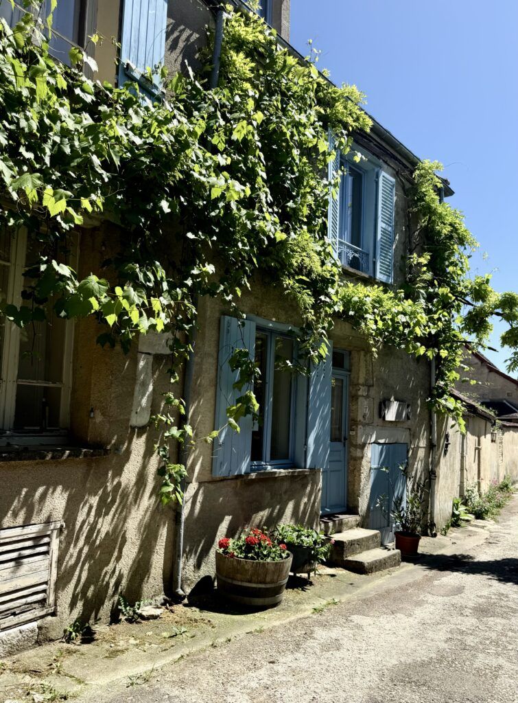 stone houses with vines and blue shutters in Noyers