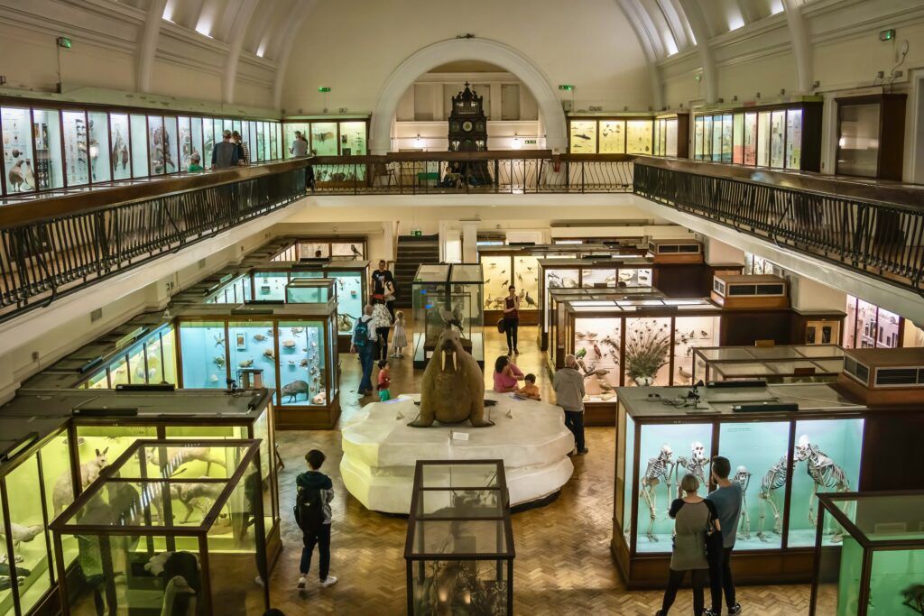 exhibits in the Horniman Museum