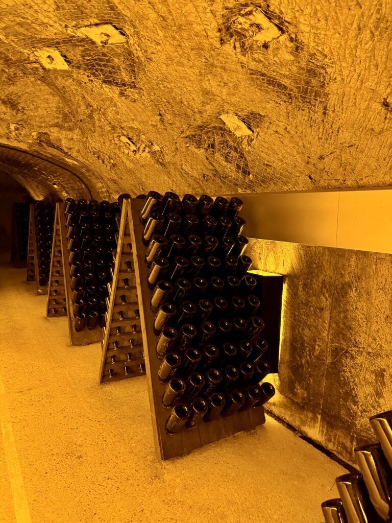 bottles in the cave cellar