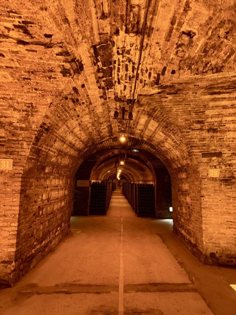 the older bottle in the cellars