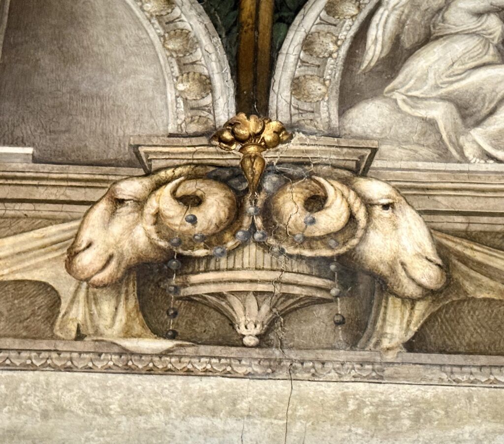 rams-head capitals