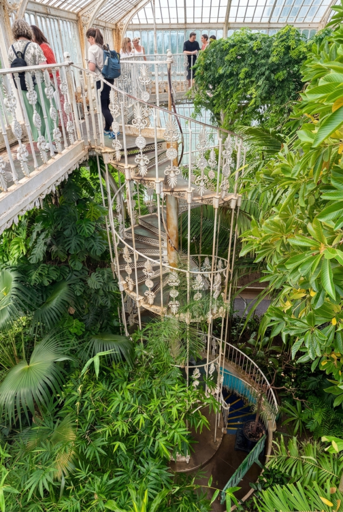 spiral staircase in the Palm House