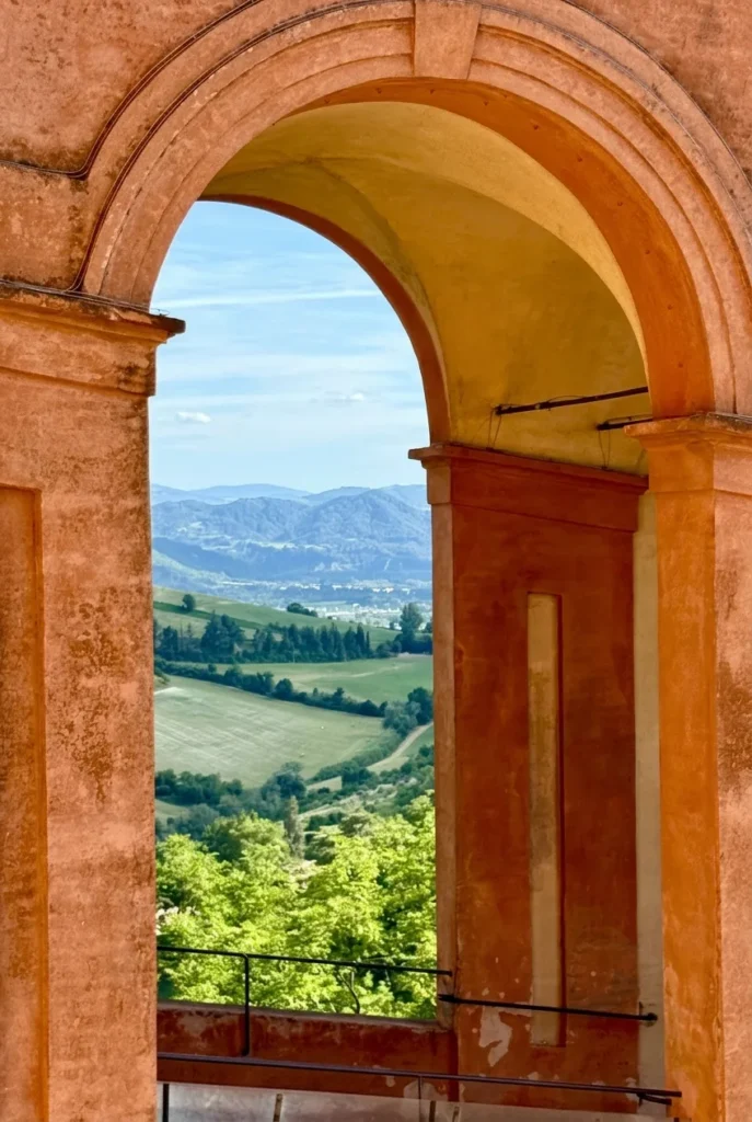 view from the top