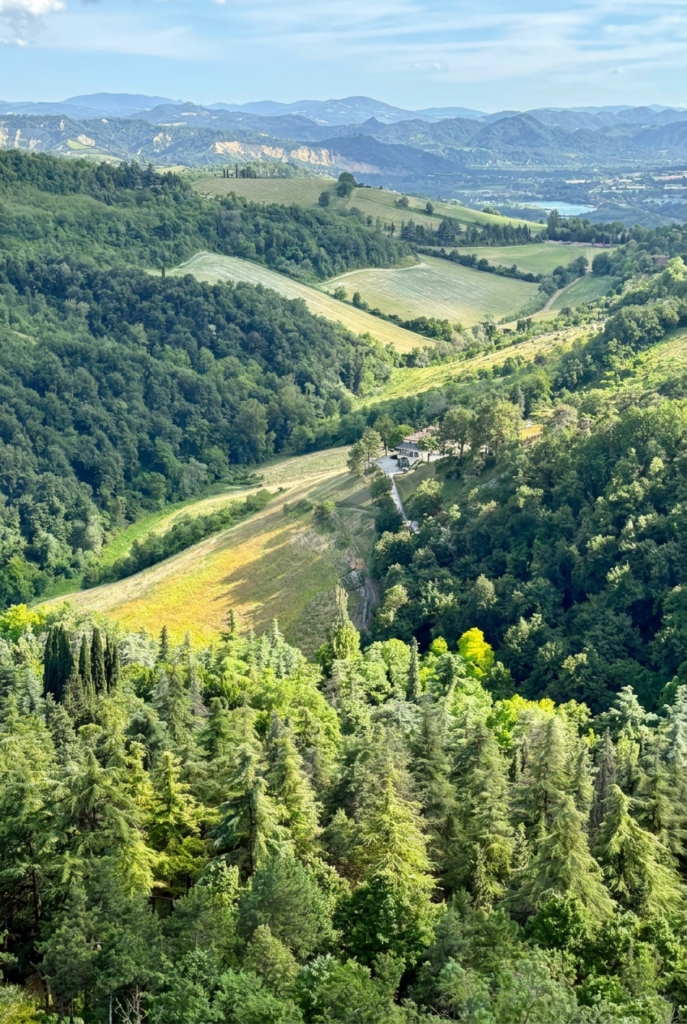 views form the top